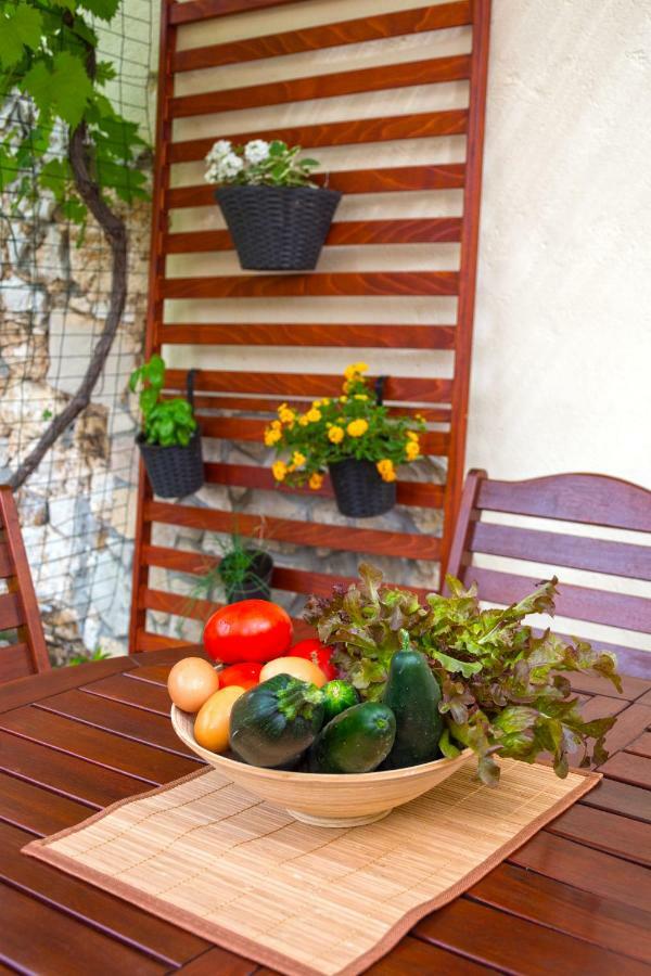 Mediterranean Terrace Apartment With Bikes & Sup Skradin Eksteriør billede