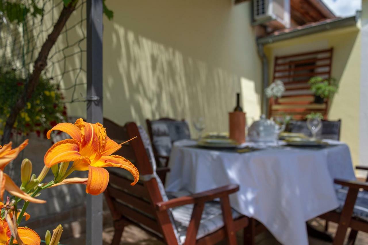 Mediterranean Terrace Apartment With Bikes & Sup Skradin Eksteriør billede